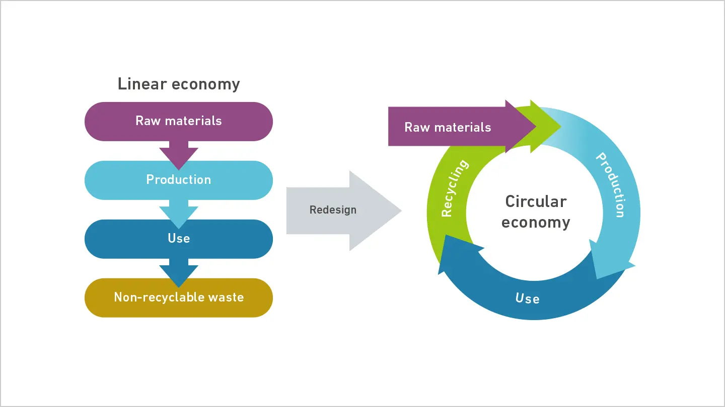 Comparison of linear and circular economies