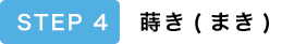 STEP4 蒔き（まき）